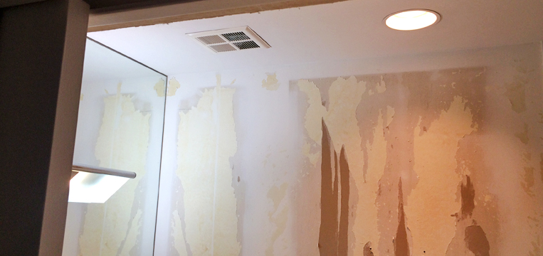 How To Remove Wallpaper Glue That Has Been Painted Over | Home Renovation  Deals Canada