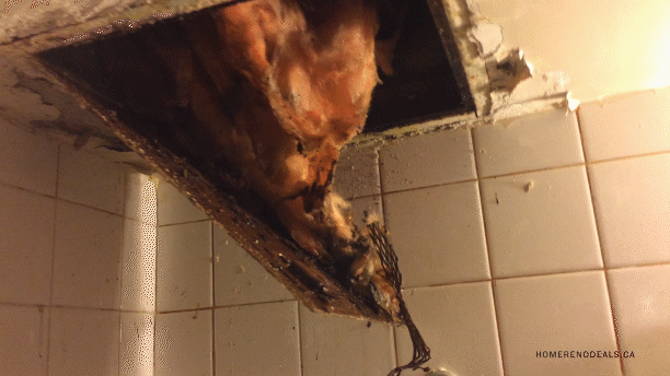 Water Leaking Through Ceiling After Shower Home Renovation