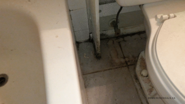 Upstairs Bathroom Leaking Through Ceiling Home Renovation