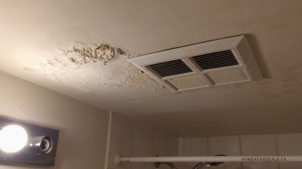 Upstairs Shower Leaking Ceiling Below Home Renovation